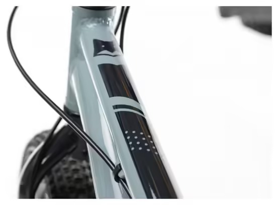 VTT Enfant Scamp TallFox Microshift 8V 20'' Bleu – Image 6