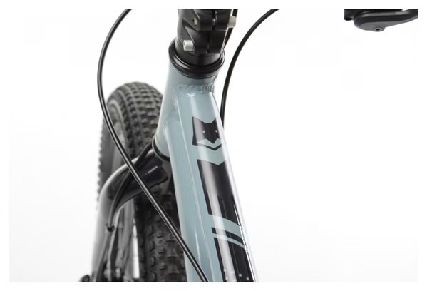 VTT Enfant Scamp TallFox Microshift 8V 20'' Bleu – Image 7