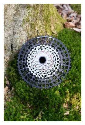 Groupe Sram 90 T-Type Eagle DUB 12V 32 Dents Guard (sans boitier) – Image 4