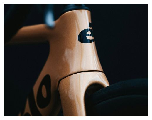 Vélo de Route Cervélo Soloist Shimano Ultegra Di2 12V 700 mm Or Gold Dust 2024 – Image 3