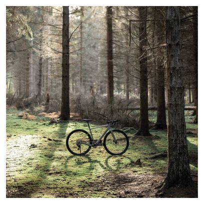 Gravel Bike Riverside GCR Sram Rival xplr AXS 12V 700mm Beige – Image 9