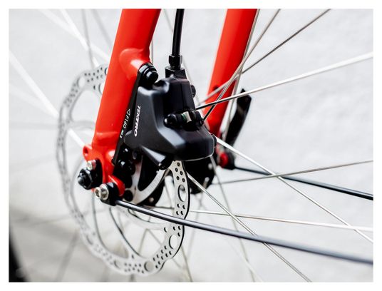 Vélo de Ville Trek FX 2 Disc Equipped Stagger Shimano Acera/Altus 9V 700 mm Rouge 2023 – Image 9