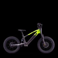 Draisienne électrique sedna sx 20" Vert